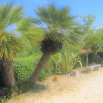 Mit Wasserblick By Interhome Capoliveri (Isola d'Elba)
